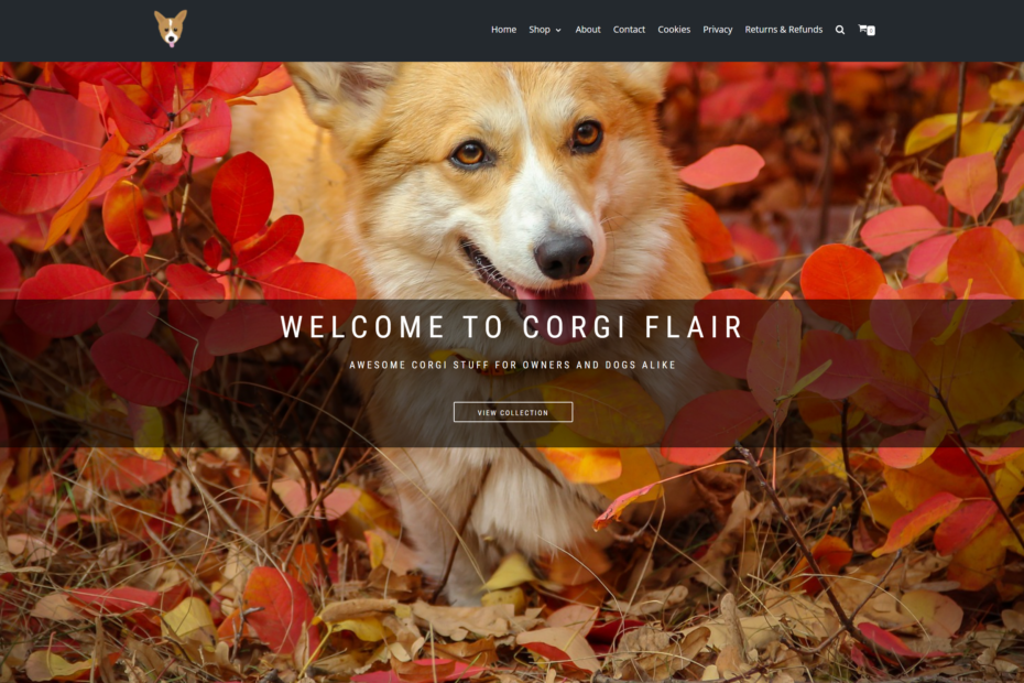 corgiflair-website